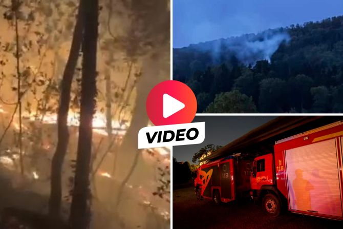 Möriken Waldbrand AG