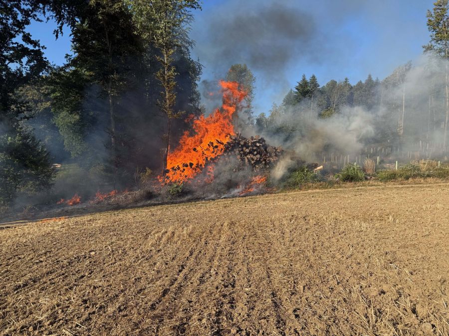 Die Feuerwehr konnte eine grössere Ausbreitung des Brandes verhindern.