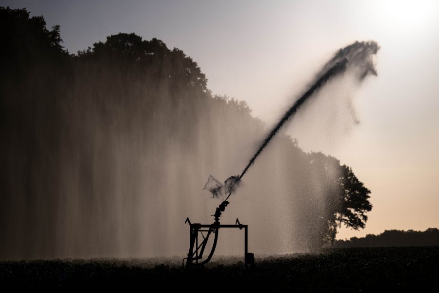 Ohne Bewässerung würde in der Schweizer Landwirtschaft aktuell nicht mehr viel laufen.