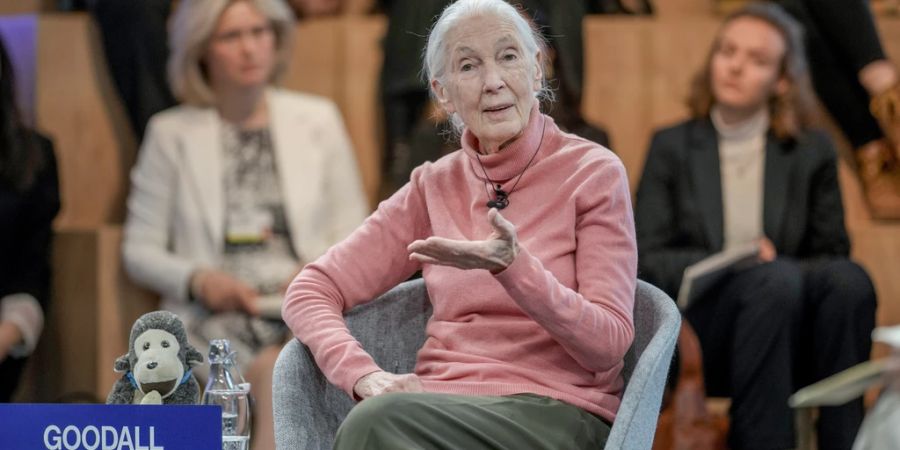 jane goodall 90 jahre