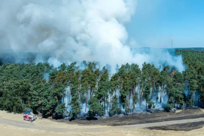 brand