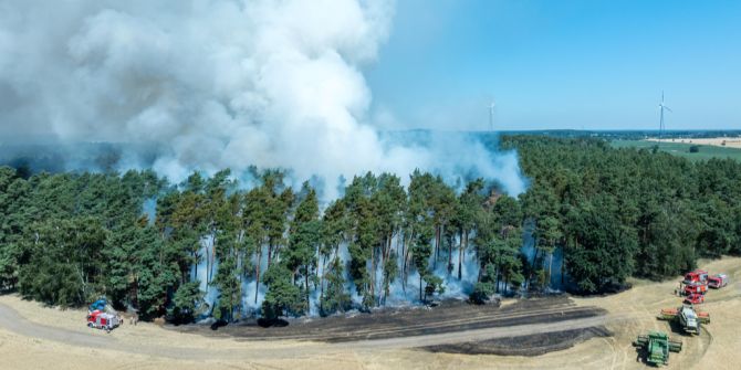 brand