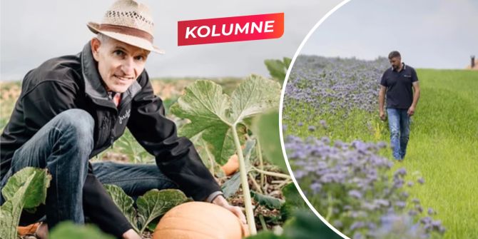 Martin Jucker Kolumne