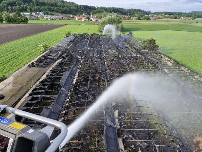 Der Brand verursachte einen Grosseinsatz der Feuerwehr. Gewächshaus Gampelen