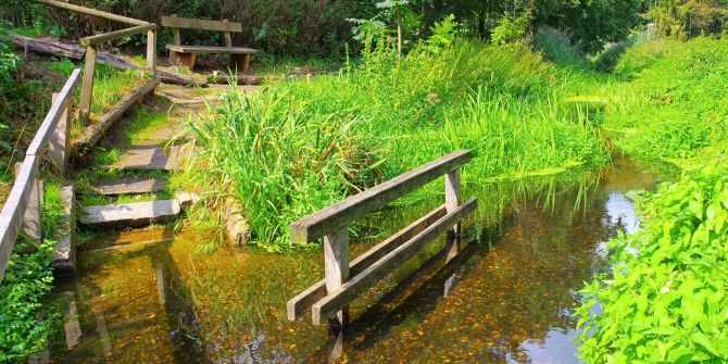 Holz Steg wasser Pfad