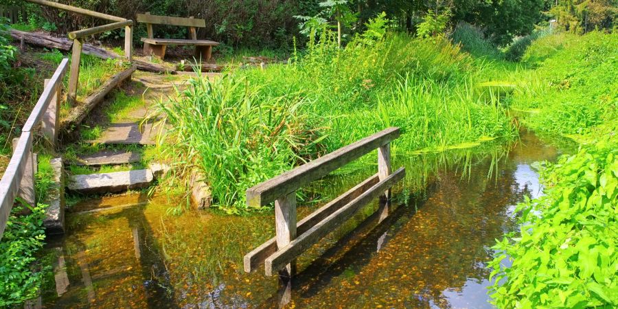 Holz Steg wasser Pfad