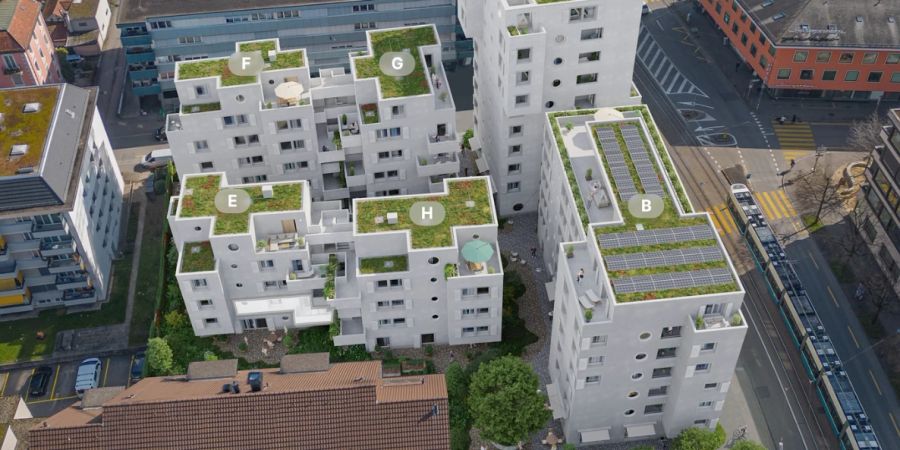 Tilia Zürich-Altstetten
