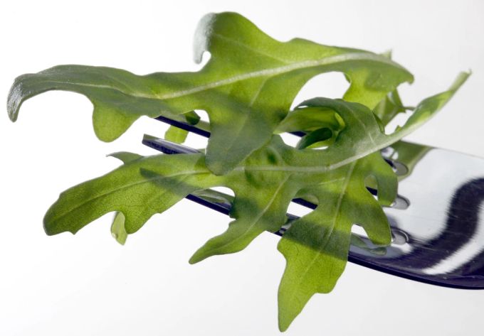 Experten raten dazu, jeglichen Salat vor dem Verzehr zu waschen, um Risiken zu vermeiden. (Symbolbild) bio rucola migros Gabel