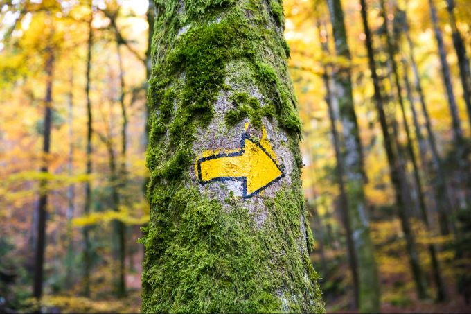 Die Schweizer Wanderwege im Outdoor sind in der Regel sehr gut markiert. Wanderwege