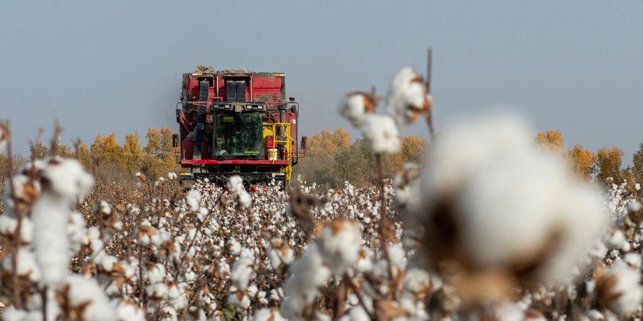 China wirft PVH vor, Baumwolle und andere Produkte aus Xinjiang gemieden zu haben. (Symbolbild)