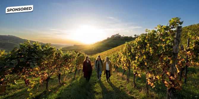 Schwarzwald Tourismus GmbH