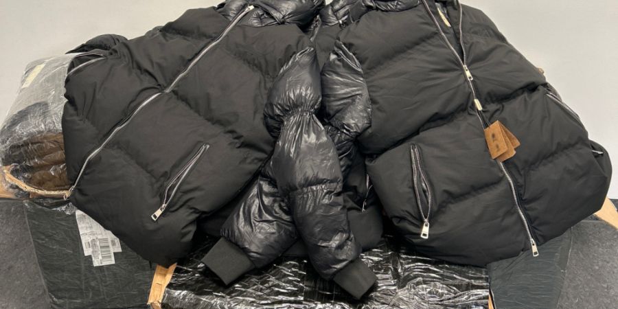 Deutsche Zöllner stellten in Konstanz rund 90 gefälschte Markenkleidungsstücke sicher.
