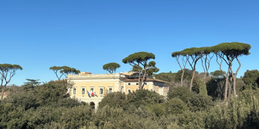 ARCHIV - Pinien und andere Bäume sind in dem römischen Park Villa Borghese zu sehen. Foto: Robert Messer/dpa