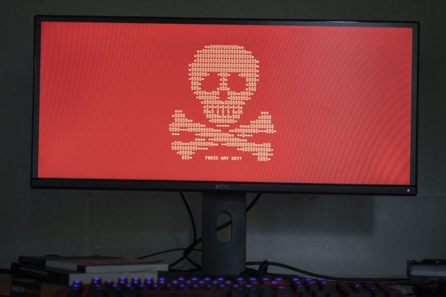 Hauptziele sind unter anderem IT, Behörden oder Energieunternehmen, häufige Arten von Attacken sind etwa Datendiebstahl oder Überlastung der Server.