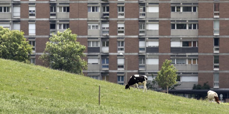 Der Berner Bauernverband spricht sich für die Zuwanderungsinitiative der SVP aus. (Symbolbild)
