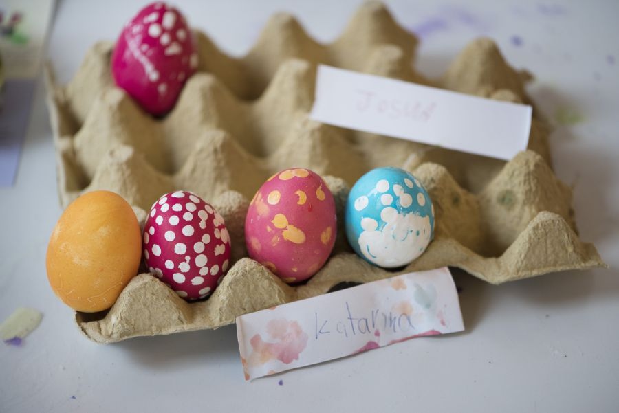 Rund um die Osterzeit stellt sich erneut die Frage, ob das Huhn oder das Ei zuerst da war.
