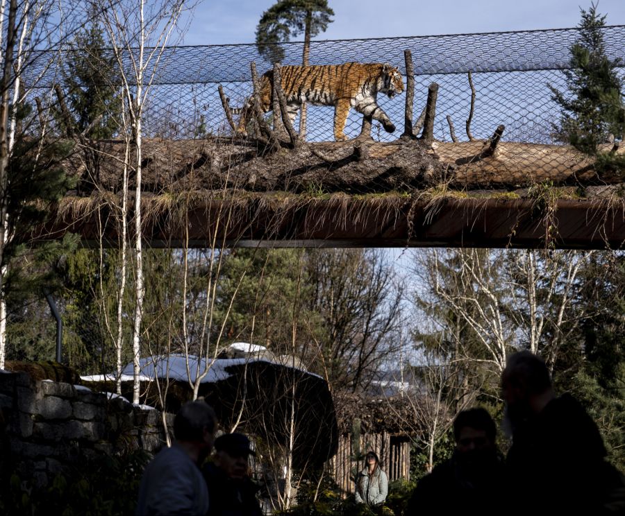 Einige sind hellauf begeistert von der «Klimawurst» ...