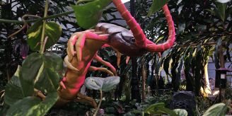 Medienmitteilung - Insekten im Emmen Center in XXL-Grösse entdecken