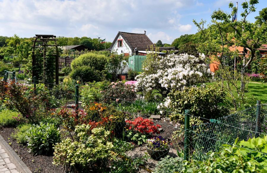 Schrebergarten Beet bunt Blumen Zaun