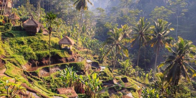 Bali menarik alam yang unik.