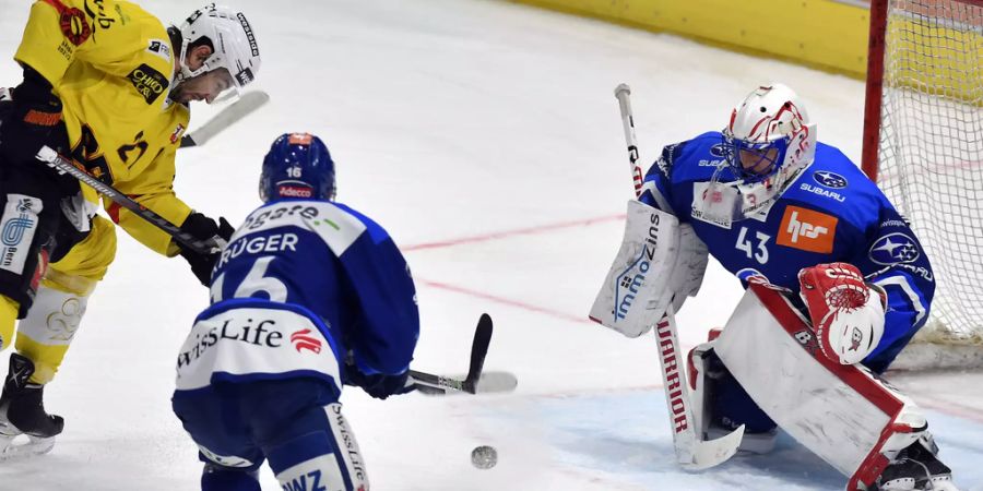zsc lions