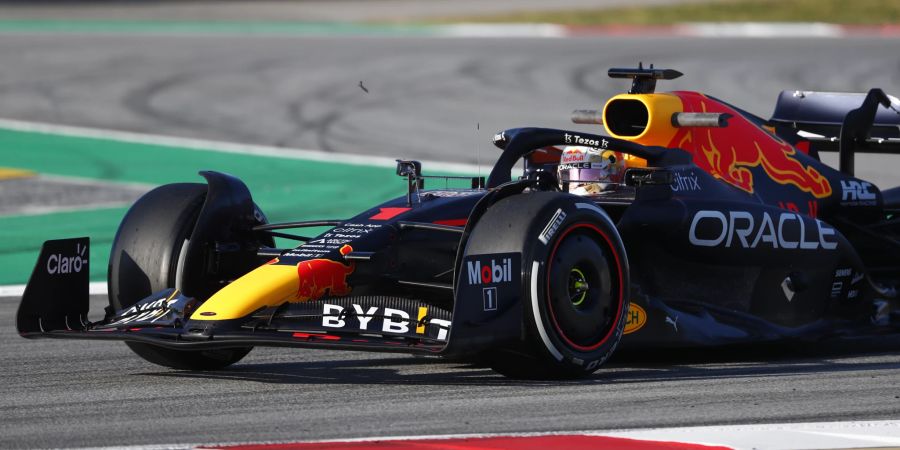 Verstappen Red Bull Racing