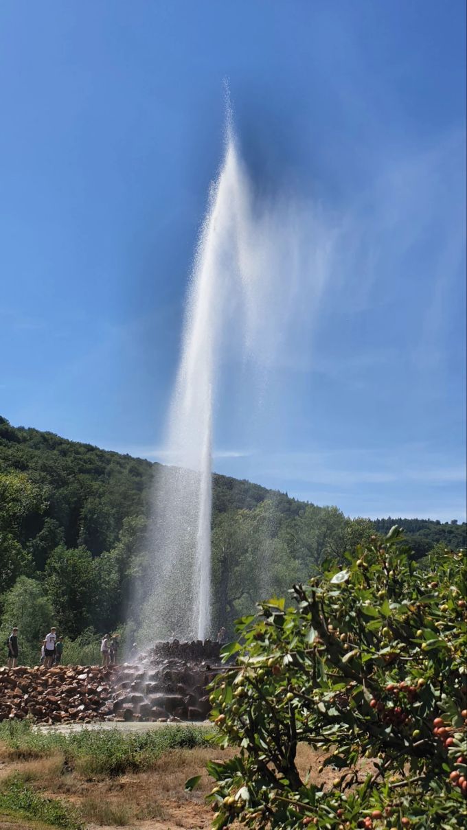 Vulkanisches Kohlendioxid treibt das Grundwasser des Andernacher Kaltwassergeysirs aus gut 350 Metern Tiefe in die Höhe. Geysir Wasser Felsbrocken Wald