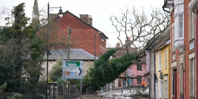 In Sudburry hat der Sturm zahlreiche Bäume ausgerissen. Storm Eunice in UK