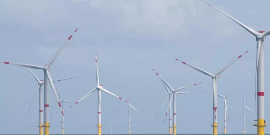 Das Versetzboot «Detector» fährt durch den Offshore-Windpark «Nordsee 1» vor der ostfriesischen Insel Spiekeroog. Foto: picture alliance / Ingo Wagner/dpa