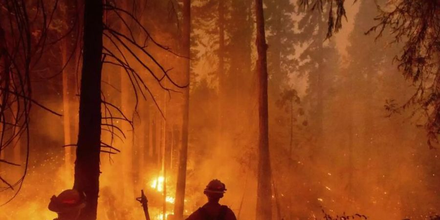 In ganz Kalifornien waren laut Feuerwehr zuletzt mehr als 14'800 Einsatzkräfte damit beschäftigt, 23 grössere Brände einzudämmen. Foto: Noah Berger/FR34727 AP/dpa