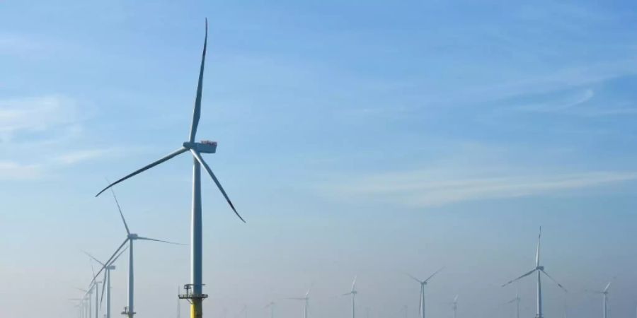 Windpark in der Nordsee