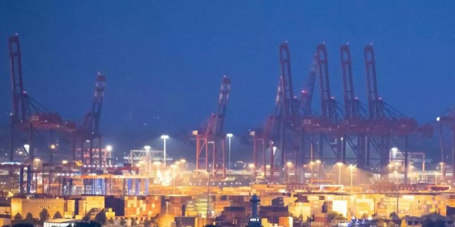 Schwere Zeiten für den Hamburger Hafen: Blick über die Elbe auf die Containerbrücken verschiedener Terminals. Foto: Christian Charisius/dpa