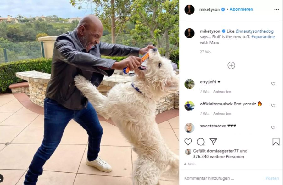 Mike Tyson während des Lockdowns mit seinem Hund.