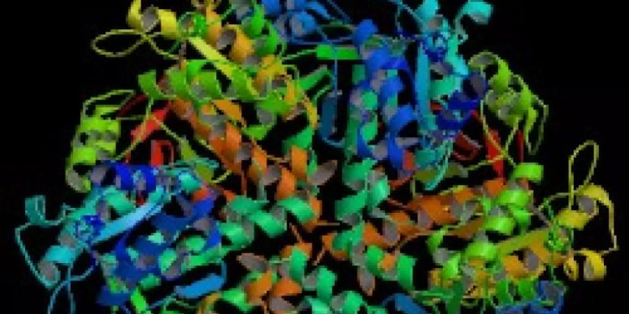 Kristallstruktur eines Rad51-Filaments. Das Protein Rad51 spielt eine wichtige Rolle bei der Verhinderung von vorzeitiger Zellalterung, haben Lausanner Forscher herausgefunden.