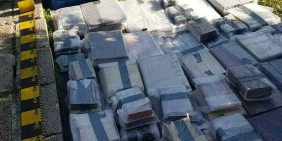 Polizeifoto des wiederaufgetauchten Diebesguts