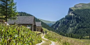 Wanderzug