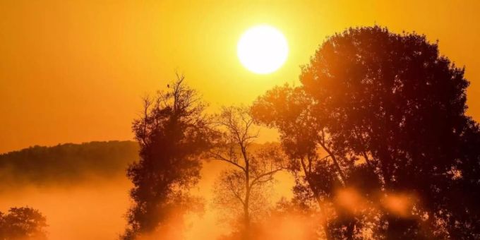Bodennebel im Licht der aufgehenden Sonne in einem Naturschutzgebiet in Baden-Württemberg. naturschutzgebiet