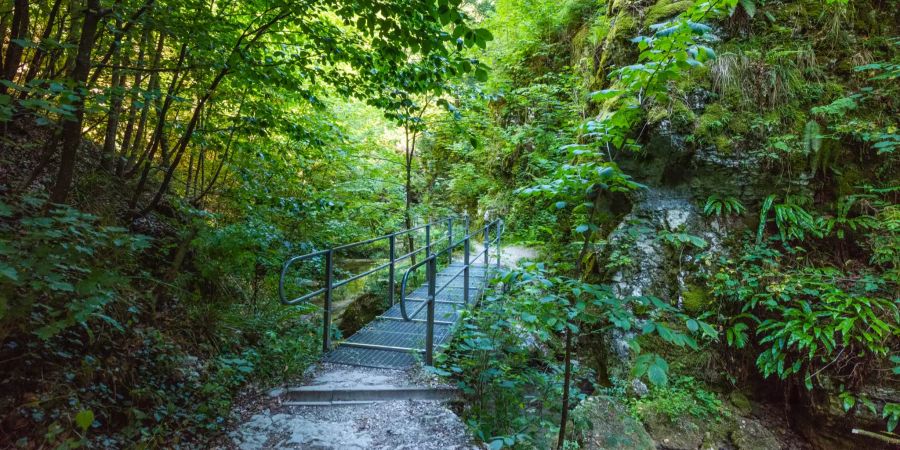 Der Eingang zur Teufelsschlucht befindet in Hägendorf. - Kanton Solothurn