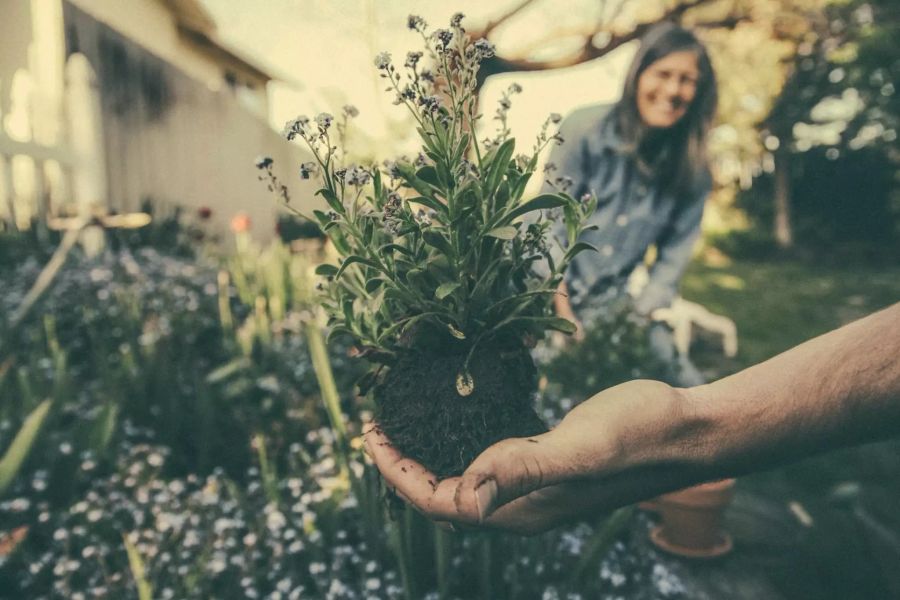 Gartenarbeit