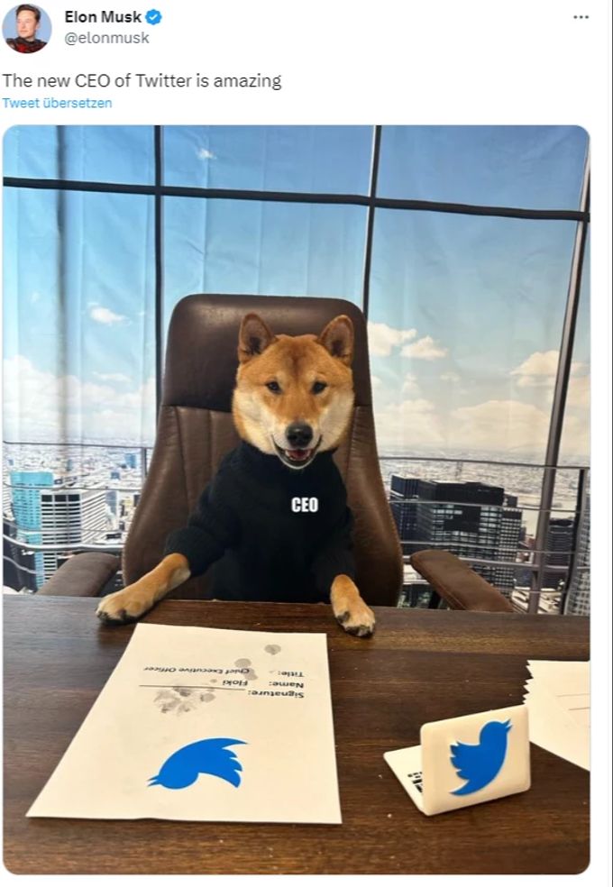 Elon Musk witzelt auf Twitter, das ein Hund neu CEO sei. Twitter Elon Musk