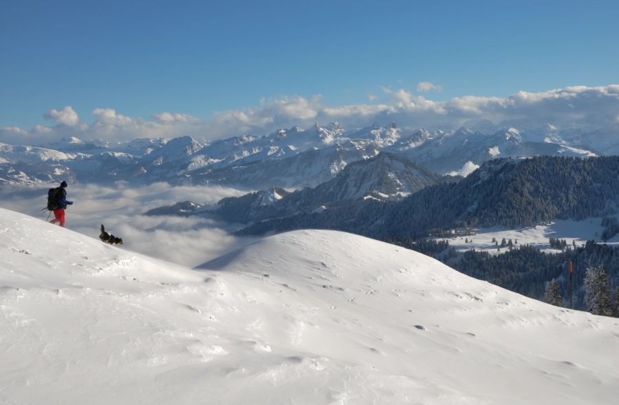 Blick von der Rigi