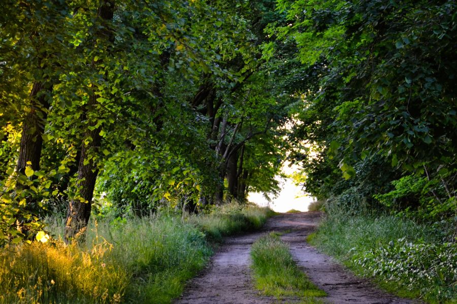 Schlesien Wanderwege Natur