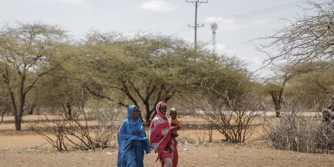 Laut Unicef - Dramatischer Wassermangel am Horn von Afrika