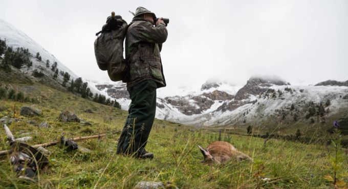 Jagd Tessin Hirsche