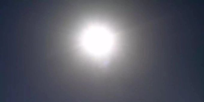 In den USA sind dieses Jahr bereits 23 Kinder gestorben, weil sie unter der prallen Sonne im Auto gelassen wurden. Usa
