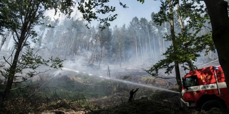 Einsatz gegen das Feuer in der Böhmischen Schweiz