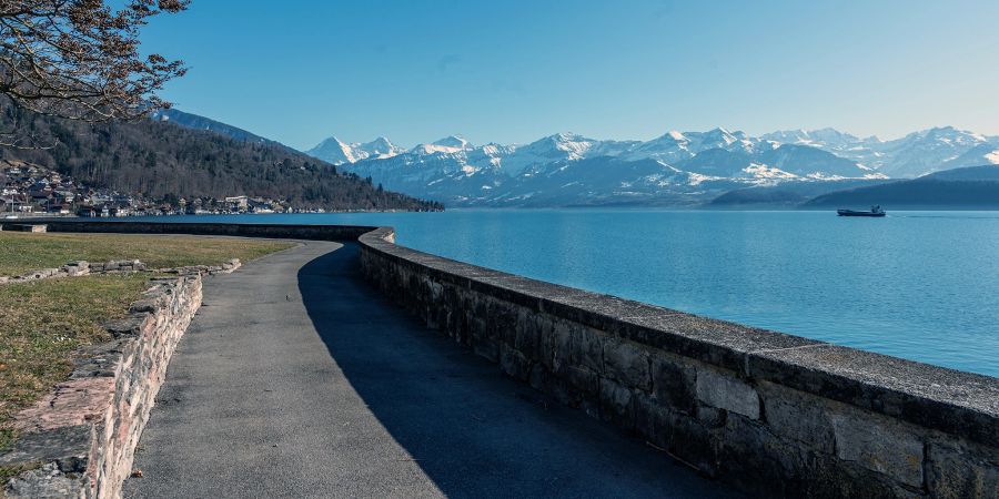 Die Seepromenade am Thunersee in Oberhofen. Hinten die Berner Alpen.