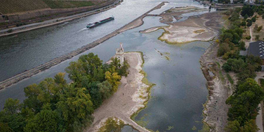 Riesige Sandbänke sind am Mäuseturm bei Bingen im Rhein sichtbar geworden. Sinken die Pegel weiter, droht die Schifffahrt zum Erliegen zu kommen.