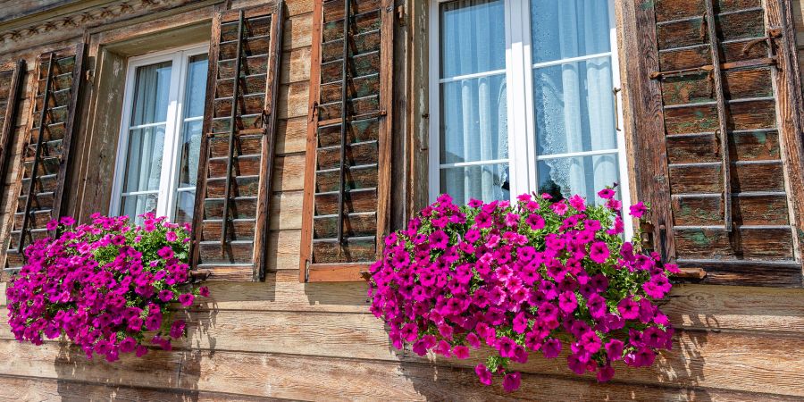 Ein geschmücktes Blumenfenster an einem Bauernhaus in Hasle bei Burgdorf.