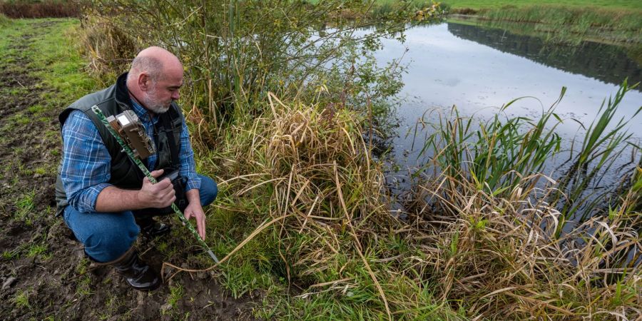 Fischotterberater Peter Ertl im Einsatz an einer Karpfenteichwirtschaft in der Oberpfalz.